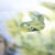 tcar170809-0078_TP_V4