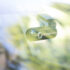 tcar170809-0078_TP_V4
